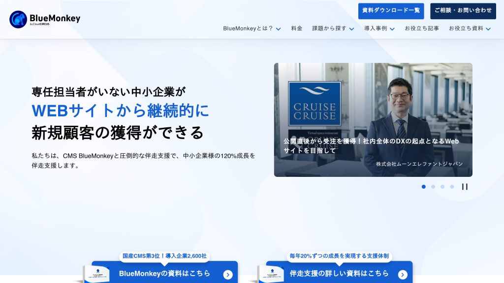 BlueMonkey のサイト画面