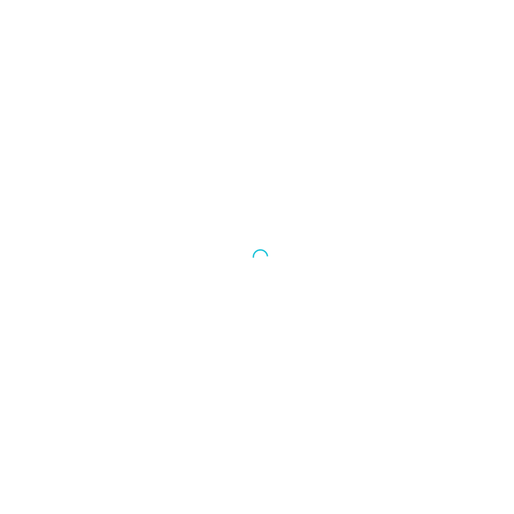 Sales Force Assistant のサイト画面